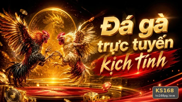 Thuật Ngữ Cốt Lõi Và Quản Lý Phiên Đá Gà KS168 Cho Người Mới Tại ks168pg.love