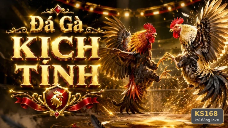 Đá Gà KS168 Trên Điện Thoại: Đánh Giá Trải Nghiệm Quản Lý Phiên Chơi Cho Người Mới Tại ks168pg.love